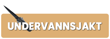 Undervandsjagt